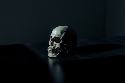 skull g16d88956a 640